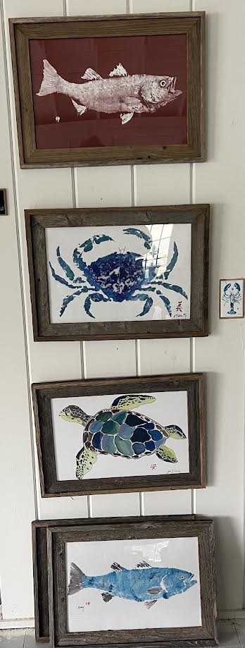FishAye Driftwood Framed Prints – Rustic Coastal Wall Art