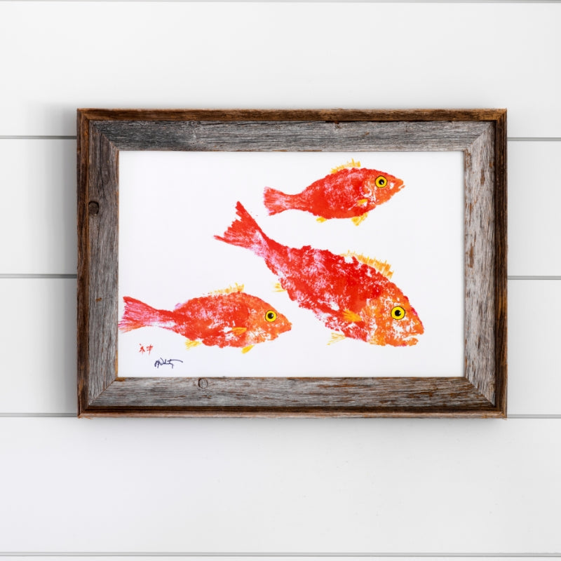FishAye School of Coral Snapper Print - Coastal Fish Art