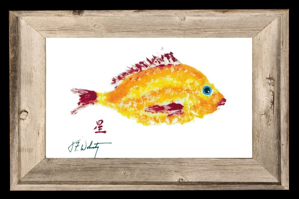 Yellow Red Scup Driftwood Framed 12x18 Print | Coastal