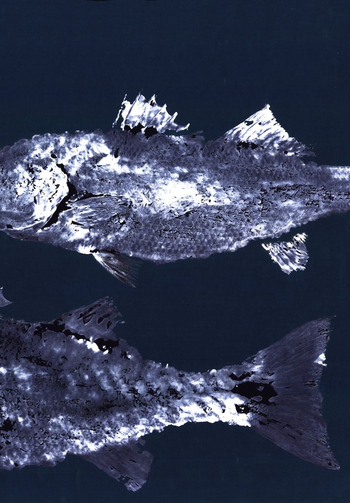 Big Striper School Trip – 36x24x3" Coastal Wall Art