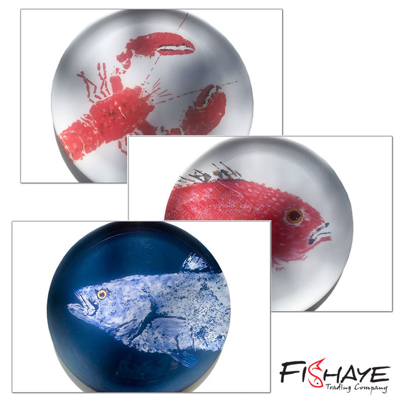 FishAye Mix & Match 4 Plates – Ocean & Nautical Tableware
