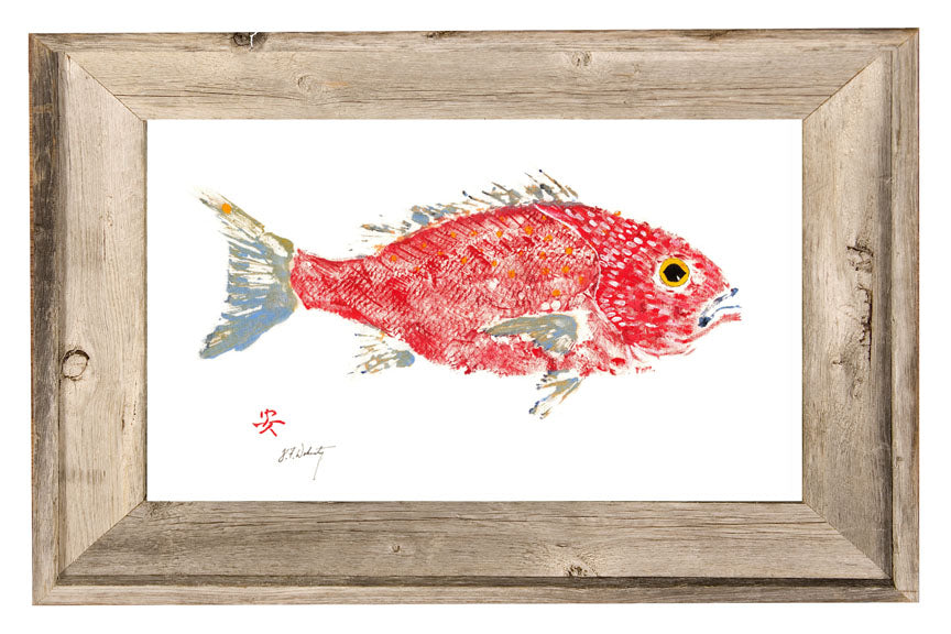 Coastal Art Red Snapper Fish Ocean Artist Inspired