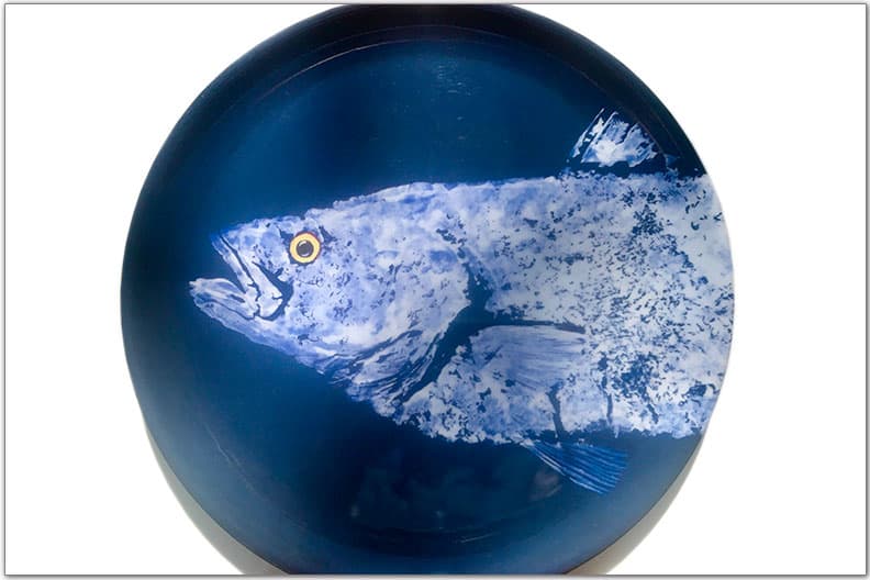 Snapper on Navy Melamine 11" Plate | Nautical