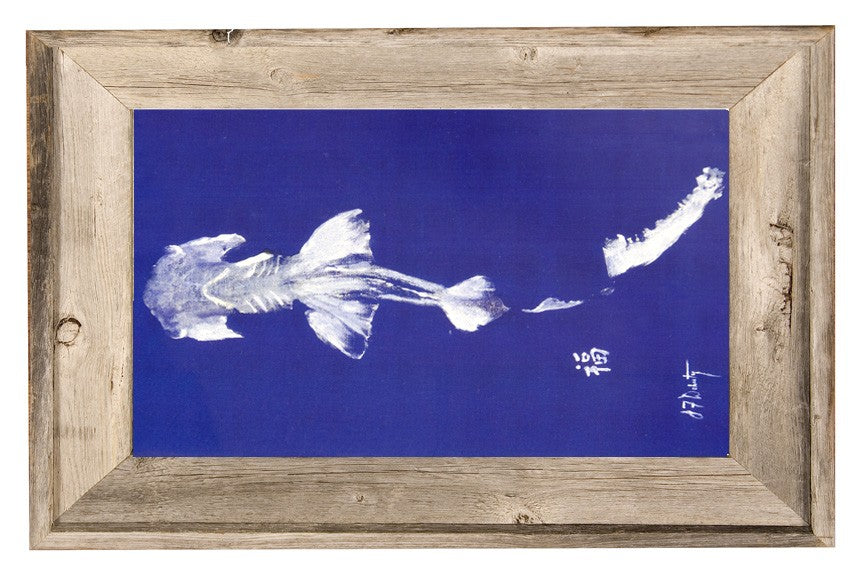 FishAye Hammerhead Framed Print – Rustic Fish Artw