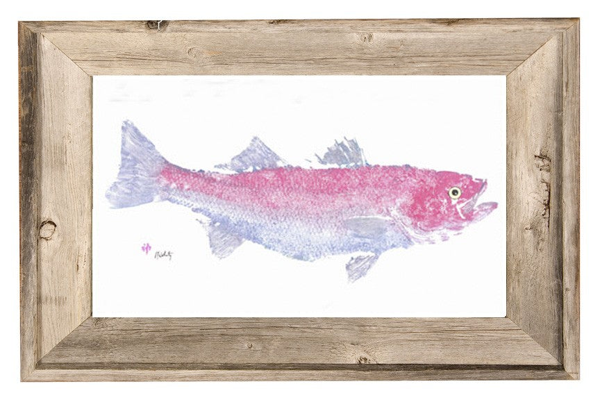 FishAye Pink Striper Framed Print – Coastal Fishing Wall Art