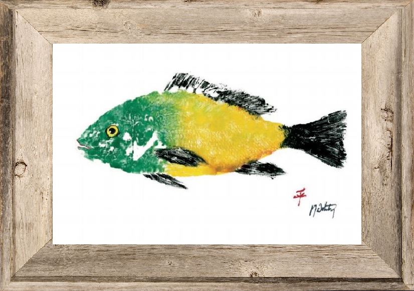 FishAye Yellow Green Striper Print - Coastal Nautical Art
