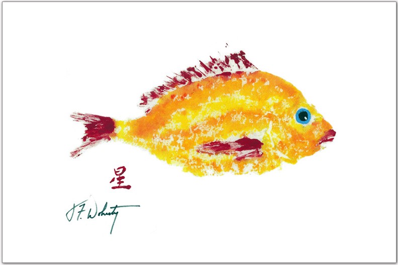 FishAye Yellow Red Scup Fish Placemat – Waterproof