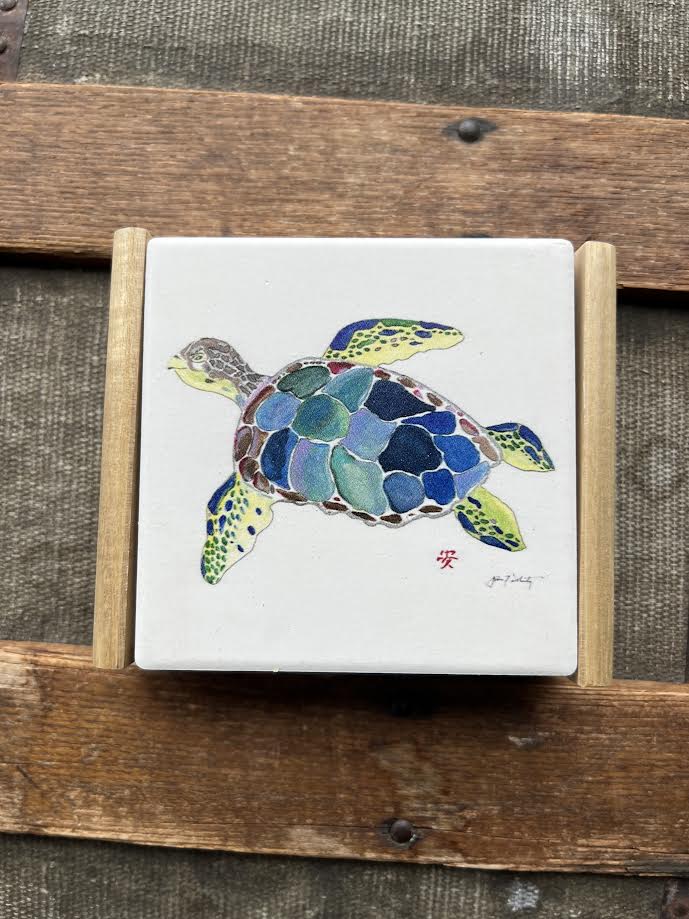 coaster sea turtle-4x4