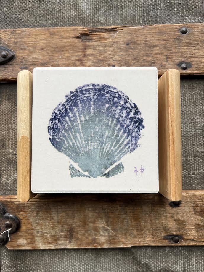 coasters shell set-4x4