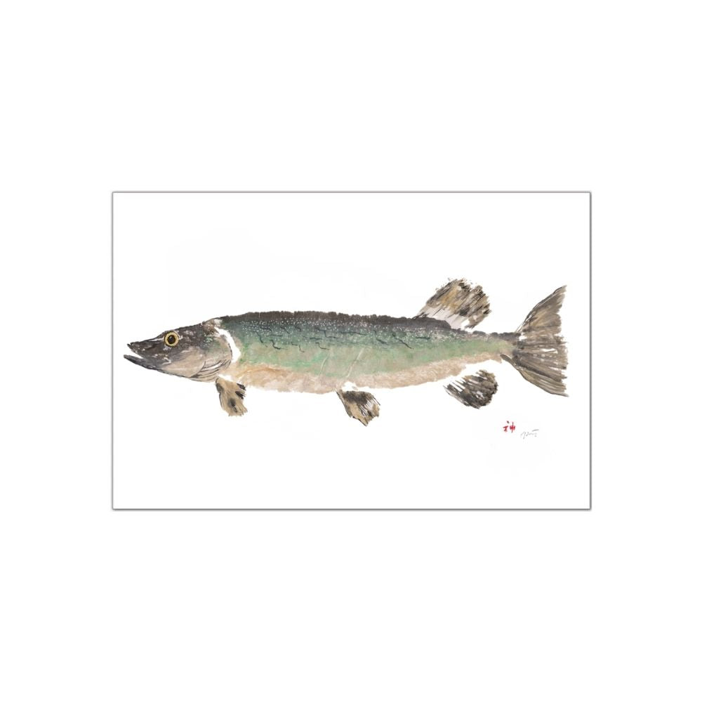 A watercolor-style fish illustration centered on a white square card or print, shown against a light gray background.