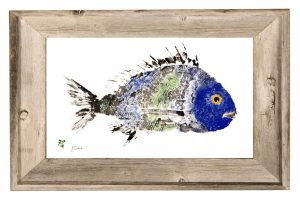 blue green scup mini-4x6