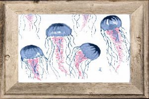 jellyfish 36x24-36x24