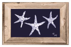 navy starfish mini-4x6