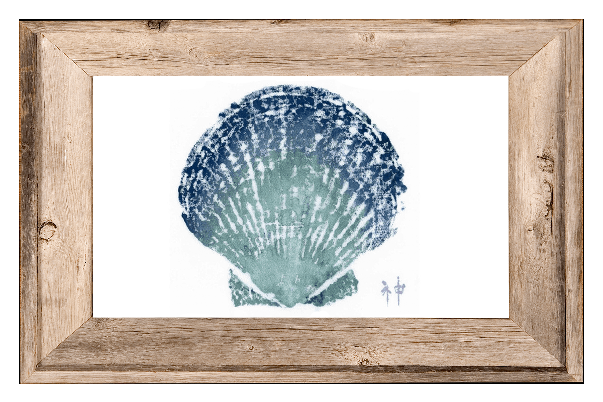Seashell Sketch Art – Nautical Coastal Wall Decor