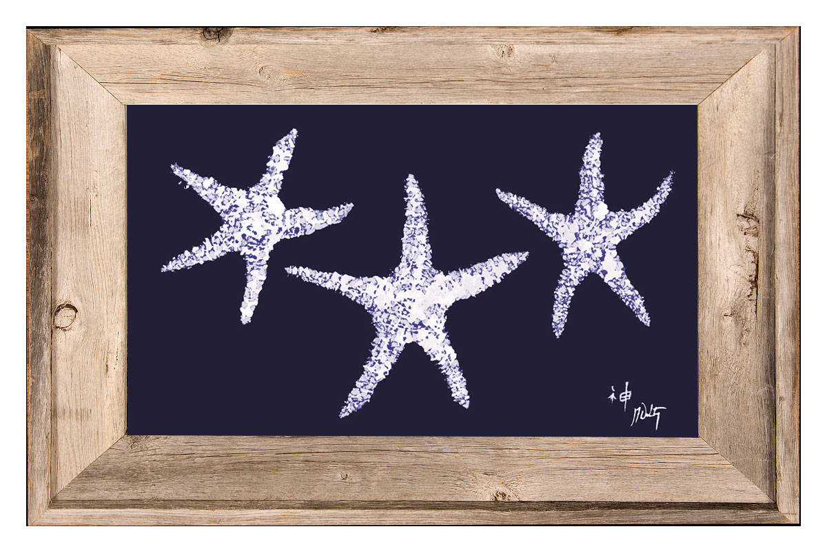 Starfish|White on Navy Print